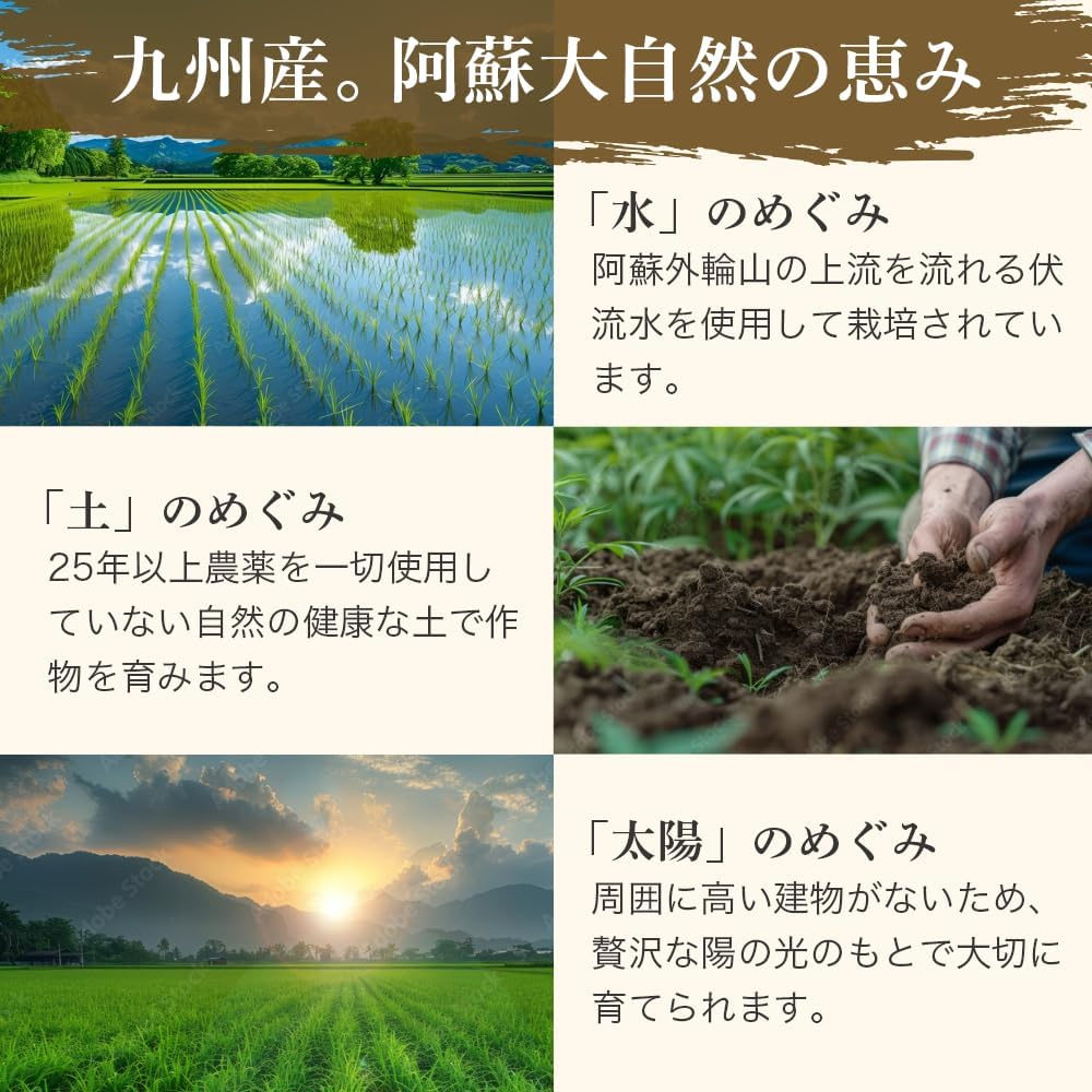 有機雑穀 九州産 有機JAS認定 雑穀米 オーガニック 200g 1袋 画像5