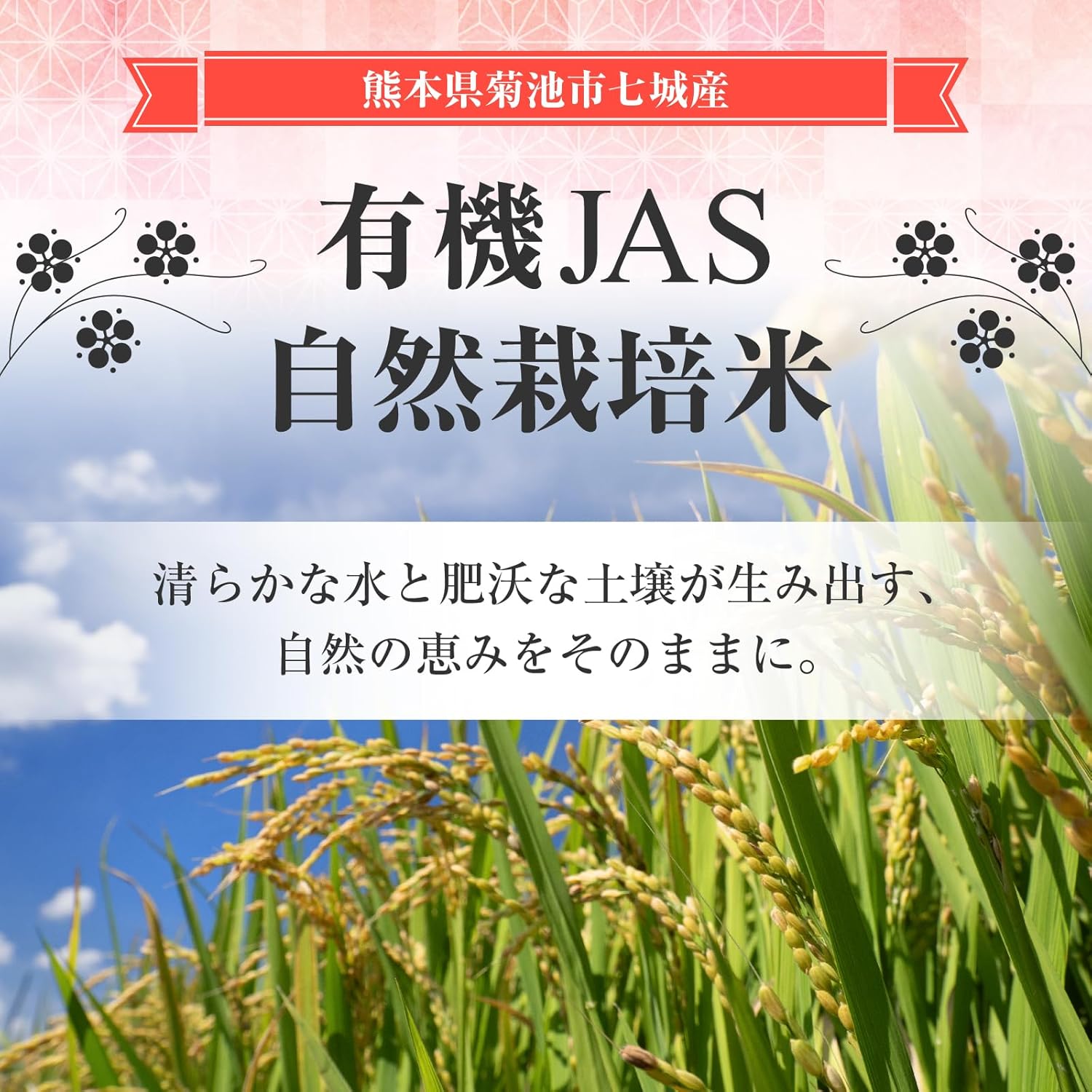 【もち麦,200g】ダイシモチ 有機JAS認証 熊本県産 β-グルカン 食物繊維 健康維持 満腹感 混ぜて炊くだけ オーガニック 画像3